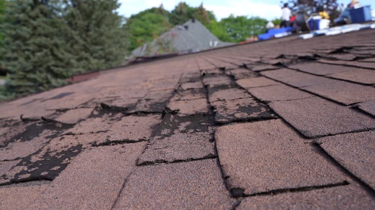 Best Sheet Metal Roofing  in Johnson Creek, WI