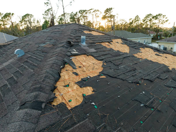 Best Gutter Installation and Repair  in Johnson Creek, WI